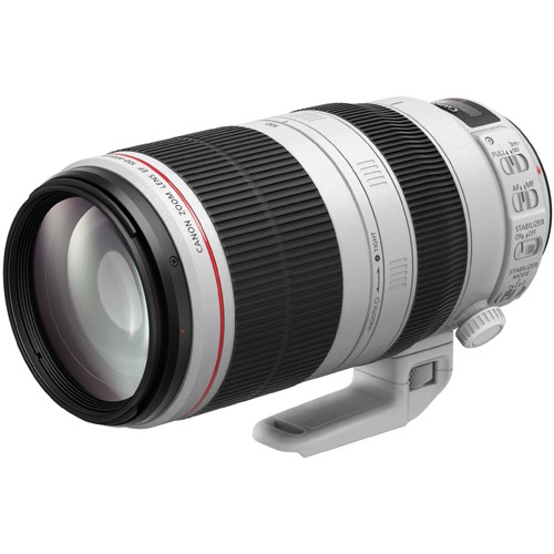 CANON RF100-500mm F4.5-7.1 L IS USM
