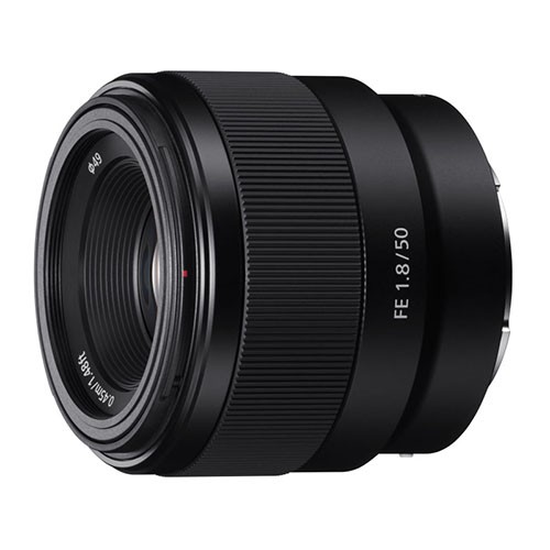 FE 50mm F1.8 SEL50F18F 4548736033078