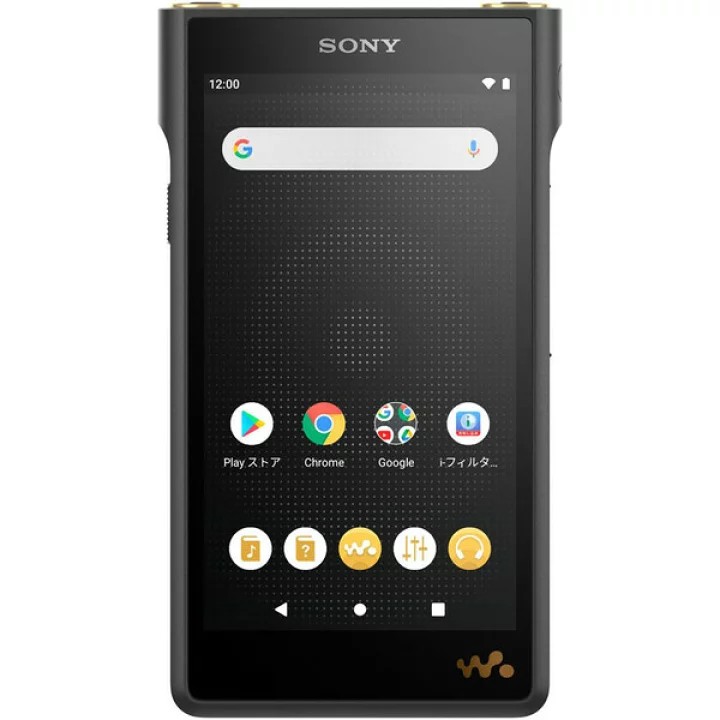 SONY ウォークマン WM1シリーズ NW-WM1AM2 4548736129535