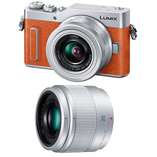LUMIX DC-GF90W-D ダブルレンズキット オレンジ 4549980046906