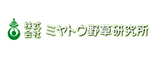 ミヤトウ野草研究所