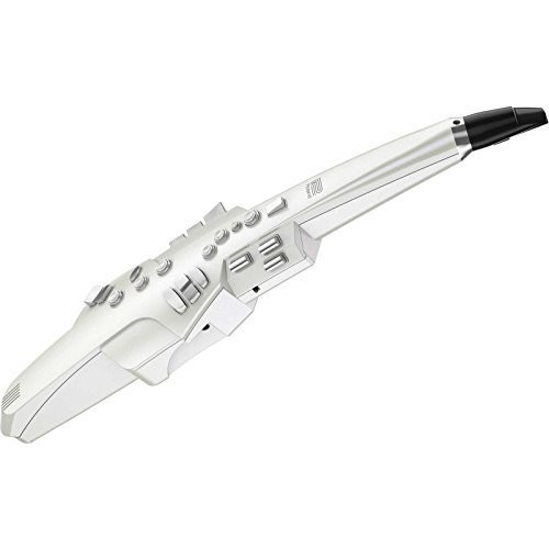 ローランド Roland Aerophone AE-10 4957054507336