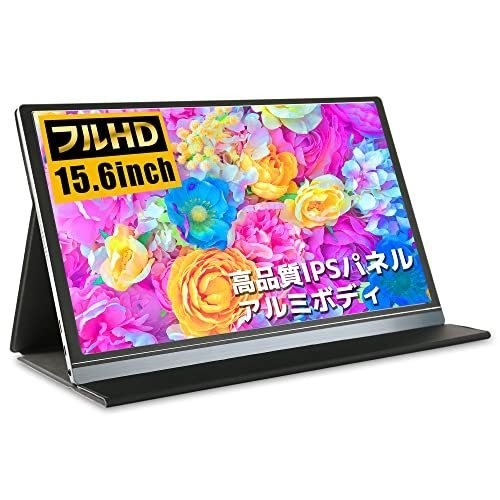 WINTEN 薄型モバイルディスプレイ 15.6インチ WT-156H2-BS 4571298586515