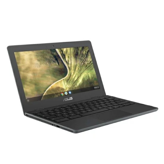 ASUS エイスース  Chromebook C204MA C204MA-GAENG 0192876840696