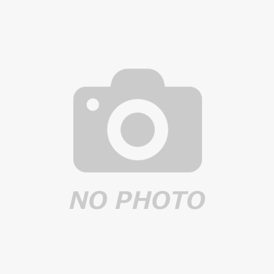 EPSON エプソン シートフィードスキャナー DS-310　4988617257320